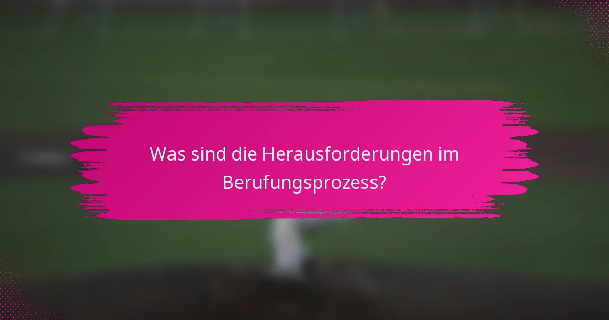Was sind die Herausforderungen im Berufungsprozess?