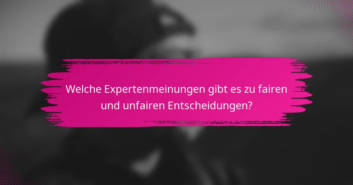 Welche Expertenmeinungen gibt es zu fairen und unfairen Entscheidungen?